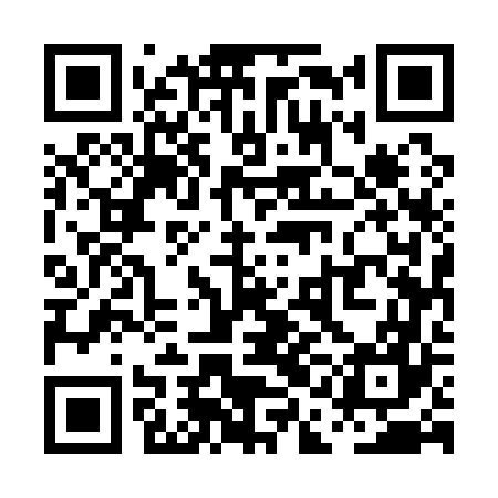 QR code for PAE167