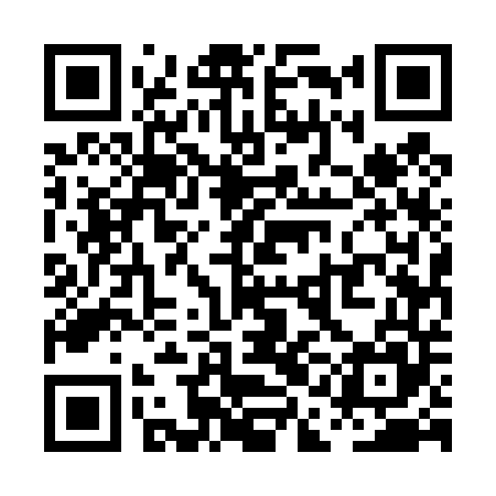 QR code for PAE445