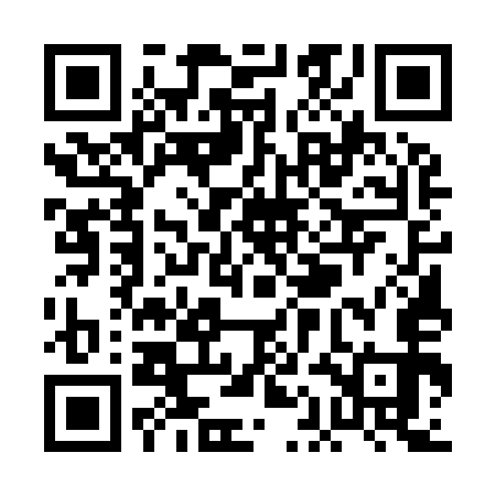 QR code for PAE953