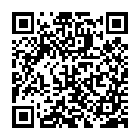 QR code for PAG447