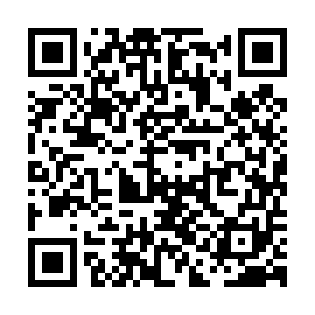 QR code for PAI451