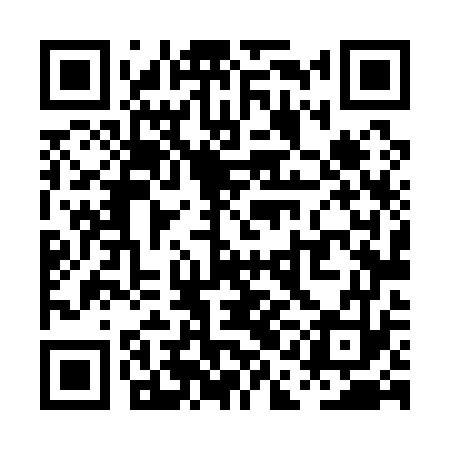 QR code for PAL173