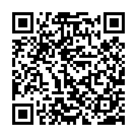 QR code for PAL400