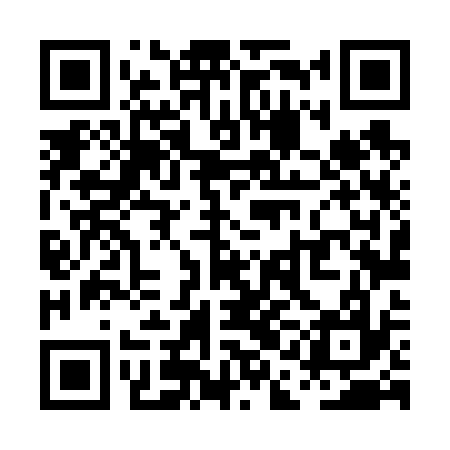 QR code for PAL637