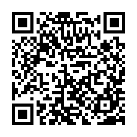 QR code for PAN384