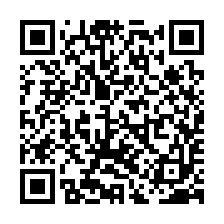 QR code for PAS393