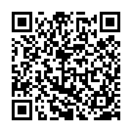 QR code for PAS424