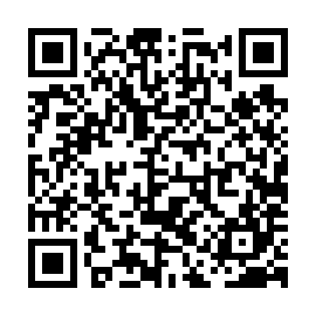 QR code for PAT684