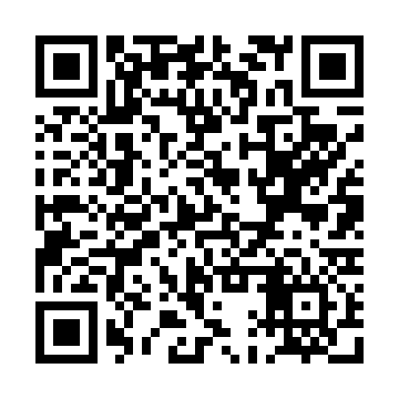 QR code for PAV436