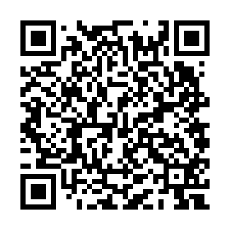 QR code for PAV612