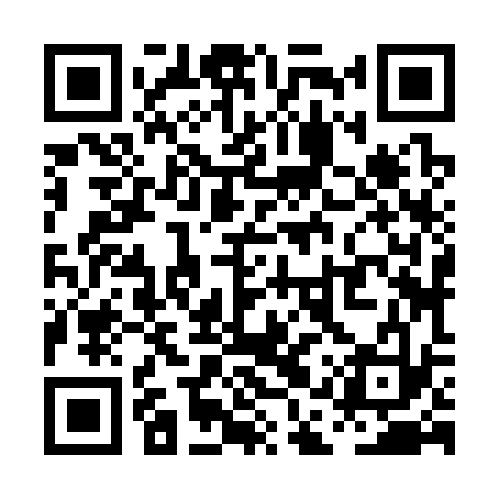 QR code for PAZ333