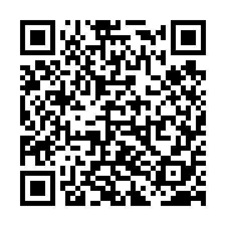 QR code for PDG658