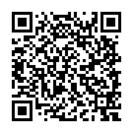 QR code for PDT598
