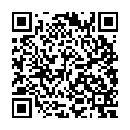 QR code for PEF313