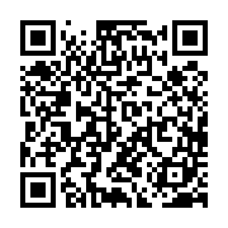 QR code for PEP541