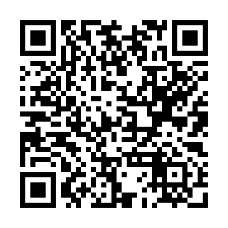 QR code for PFN391