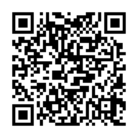 QR code for PFO338