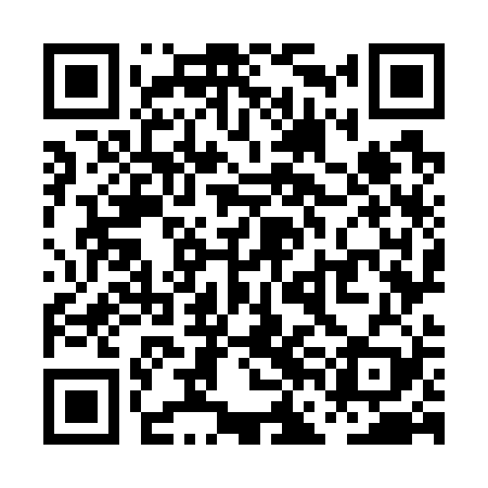 QR code for PFO729