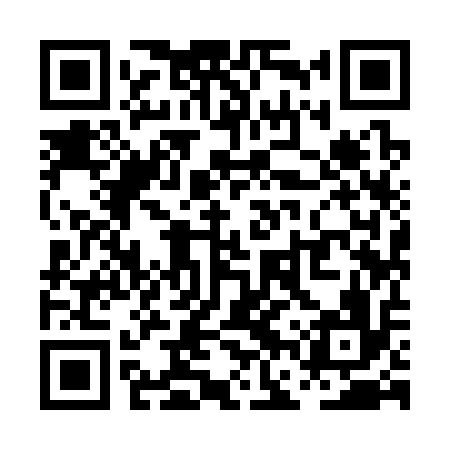 QR code for PFY316