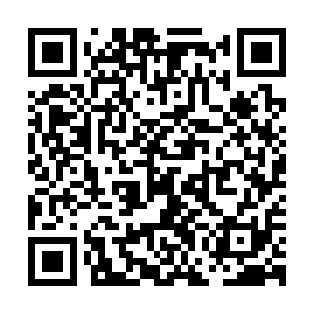 QR code for PGG311