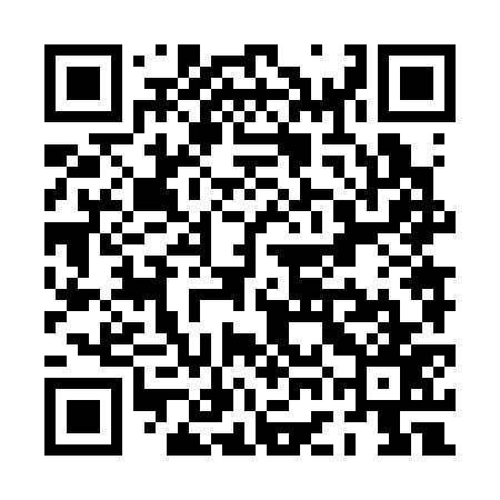 QR code for PGN377