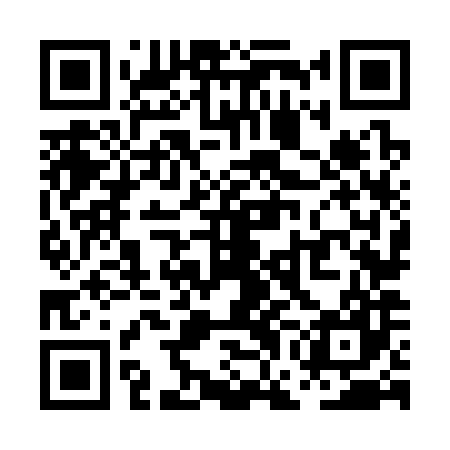 QR code for PGN387