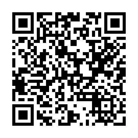 QR code for PGO319