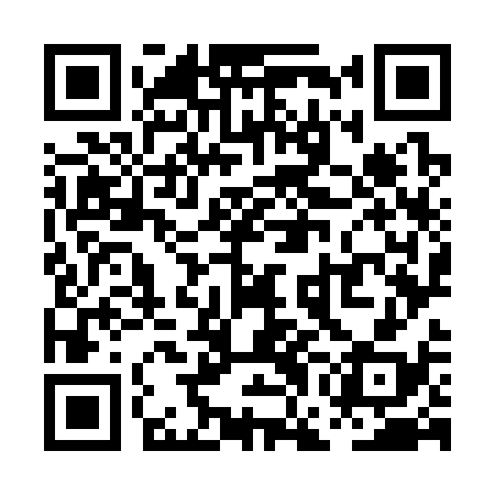 QR code for PGO338