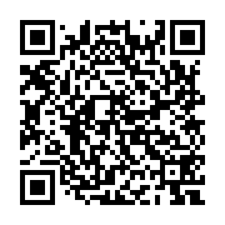 QR code for PGS958