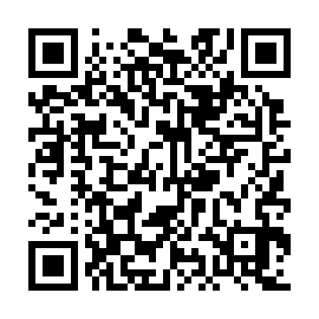 QR code for PID333
