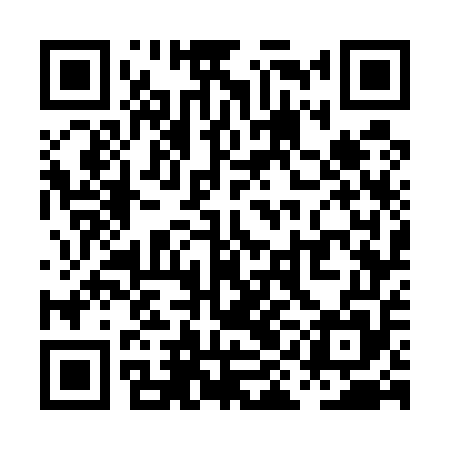 QR code for PIG555