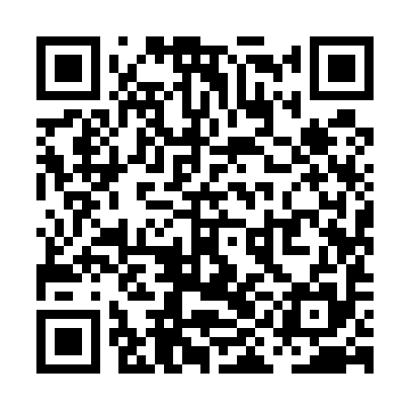 QR code for PII595