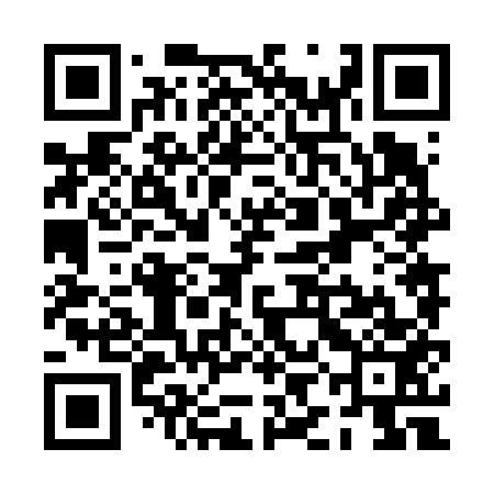 QR code for PIN653