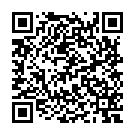 QR code for PIS955