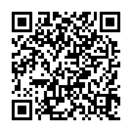 QR code for PIX310