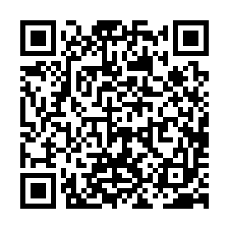QR code for PKP393