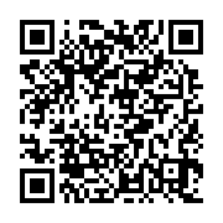 QR code for PLN333