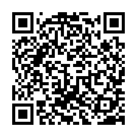 QR code for PLN389