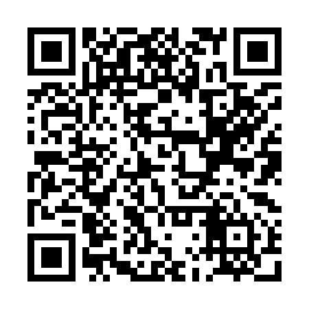 QR code for PLZ994