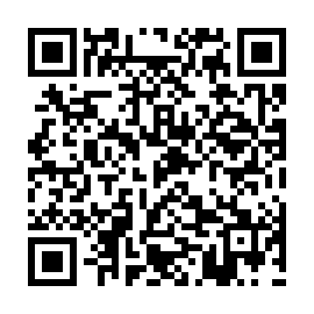 QR code for PML381