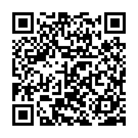 QR code for PMZ225