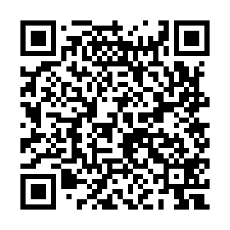 QR code for PNG919