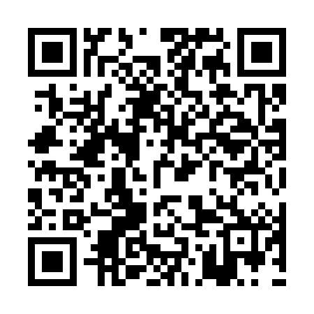 QR code for POI382