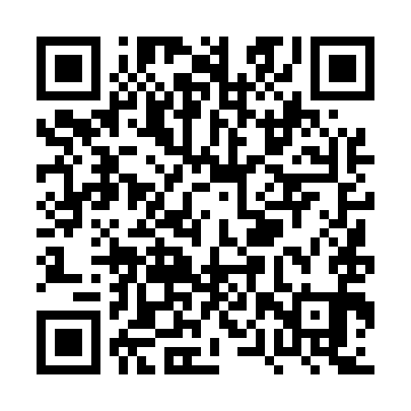 QR code for PPT591