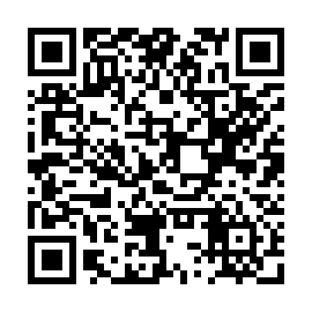 QR code for PSR934