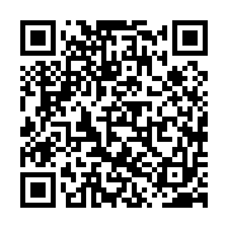 QR code for PTH113