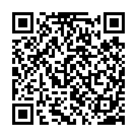 QR code for PUA611