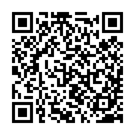 QR code for PUB480