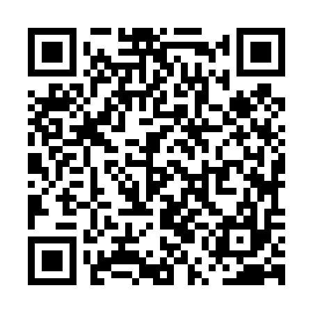 QR code for PUJ417