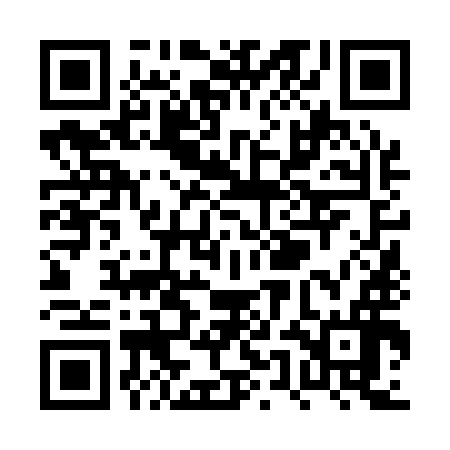 QR code for PUN196